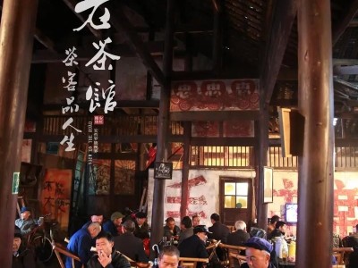 茶香书韵，老成都的悠悠时光，死水微澜中的文化记忆与传承