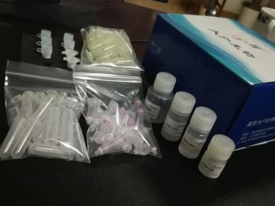 新型肺癌早诊试剂盒获批上市，中国癌症防控领域新里程碑