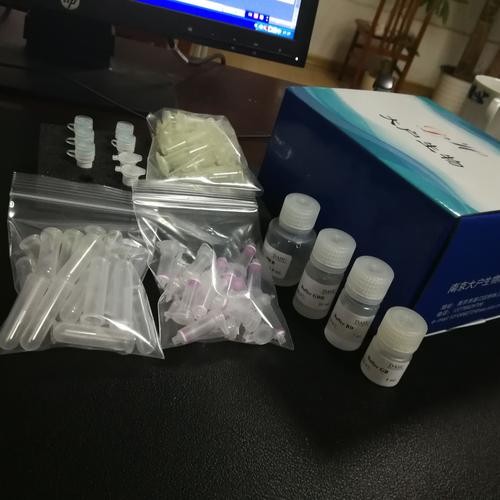 新型肺癌早诊试剂盒获批上市，中国癌症防控领域新里程碑